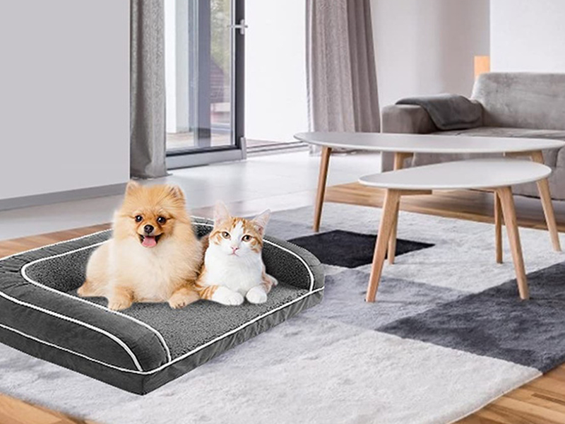 かわいい犬ソファベッド