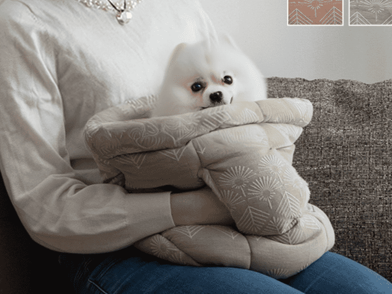 人気ペット用品・かわいいペットアイテム