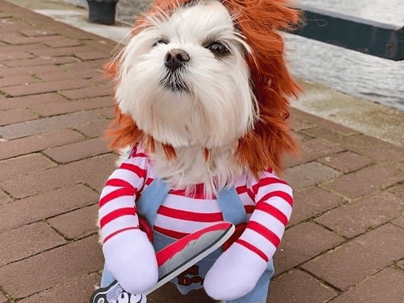 ★ハロウィン・クリスマス・イベント・パーティーグッズ★